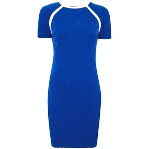 NWOT Unknown long sleeve dress S 36 blue white ribbed sold as is no addtl info